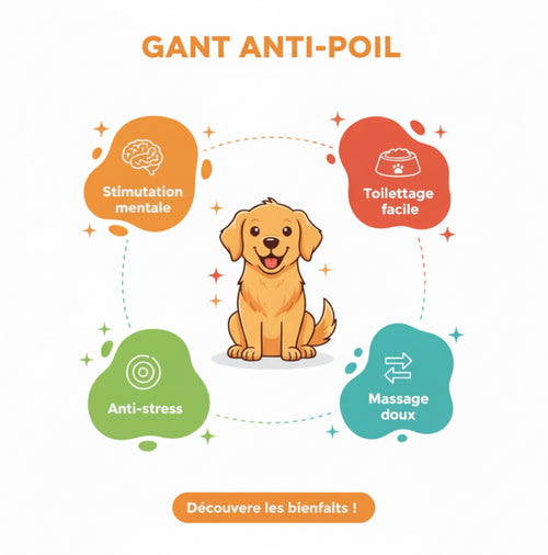 Gant Anti-Poil